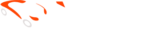 www.star-cars.eu